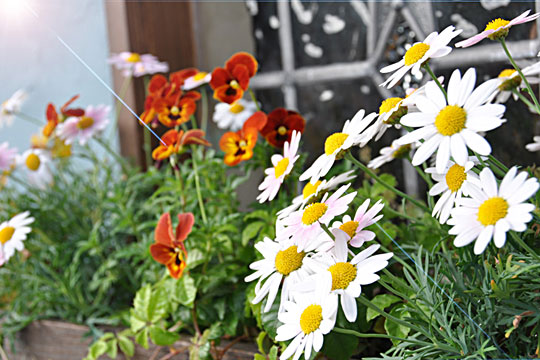 AQUA�t�����g2