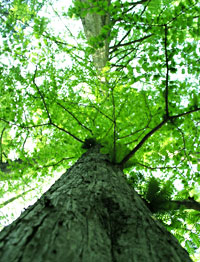 ���s�̃A�E�g�h�A�V���b�v AQUA�ł��B